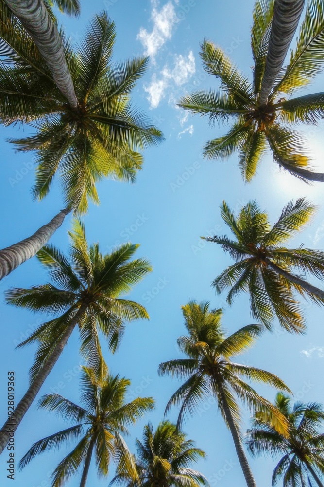 Tropical low-angle shot of palm trees against a clear blue sky, capturing the serene and relaxing vibes of a sunny day in paradise. Tropical low-angle shot of palm trees against a clear blue sky, capturing the serene and relaxing vibes of a sunny day in paradise.