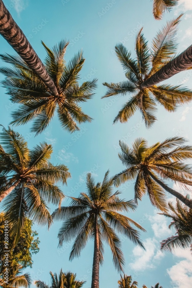 Tropical low-angle shot of palm trees against a clear blue sky, capturing the serene and relaxing vibes of a sunny day in paradise. Tropical low-angle shot of palm trees against a clear blue sky, capturing the serene and relaxing vibes of a sunny day in paradise.
