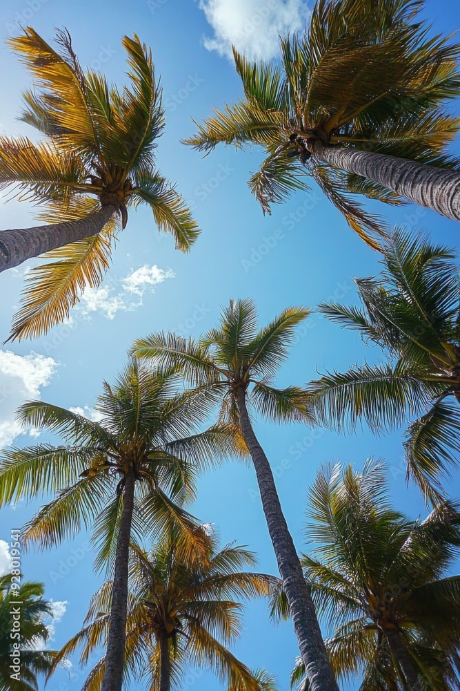 Tropical low-angle shot of palm trees against a clear blue sky, capturing the serene and relaxing vibes of a sunny day in paradise. Tropical low-angle shot of palm trees against a clear blue sky, capturing the serene and relaxing vibes of a sunny day in paradise.