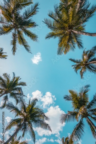 Tropical low-angle shot of palm trees against a clear blue sky, capturing the serene and relaxing vibes of a sunny day in paradise.