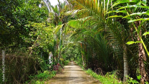 Narrow village path in countryside at Mang Thit district, Vinh Long province, Mekong Delta Vietnam in the morning.