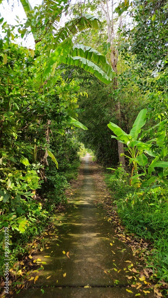 Narrow village street in countryside at Mekong Delta Vietnam. Narrow village street in countryside at Mekong Delta Vietnam.