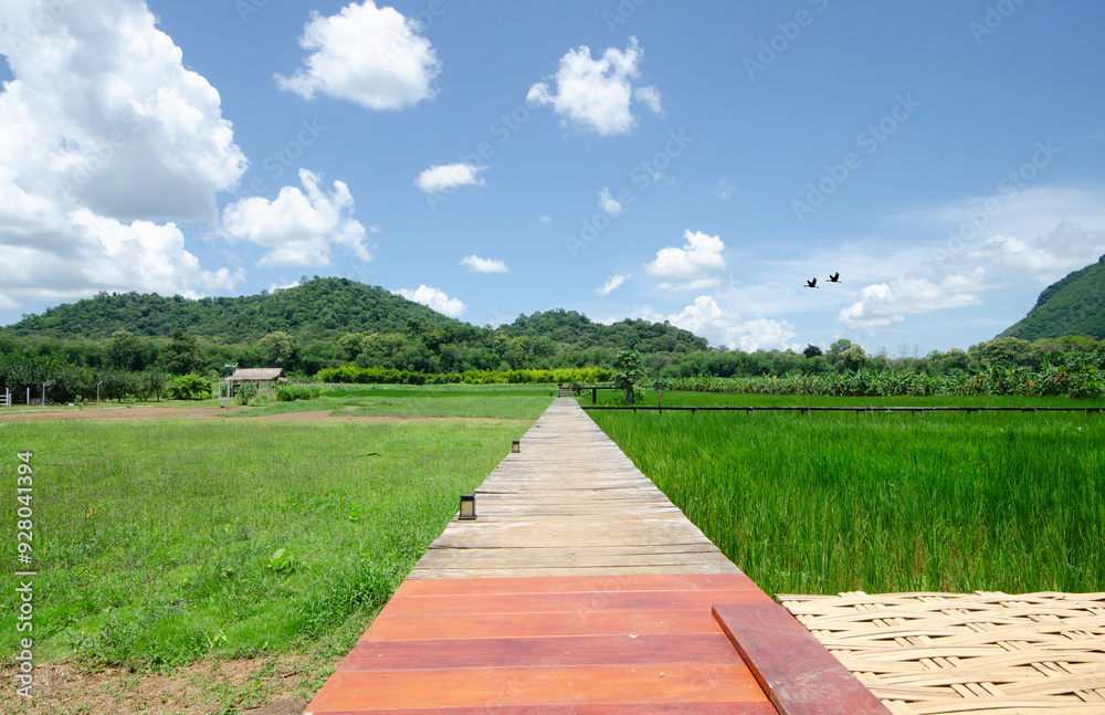 Long wooden bridge across green field to the mountains