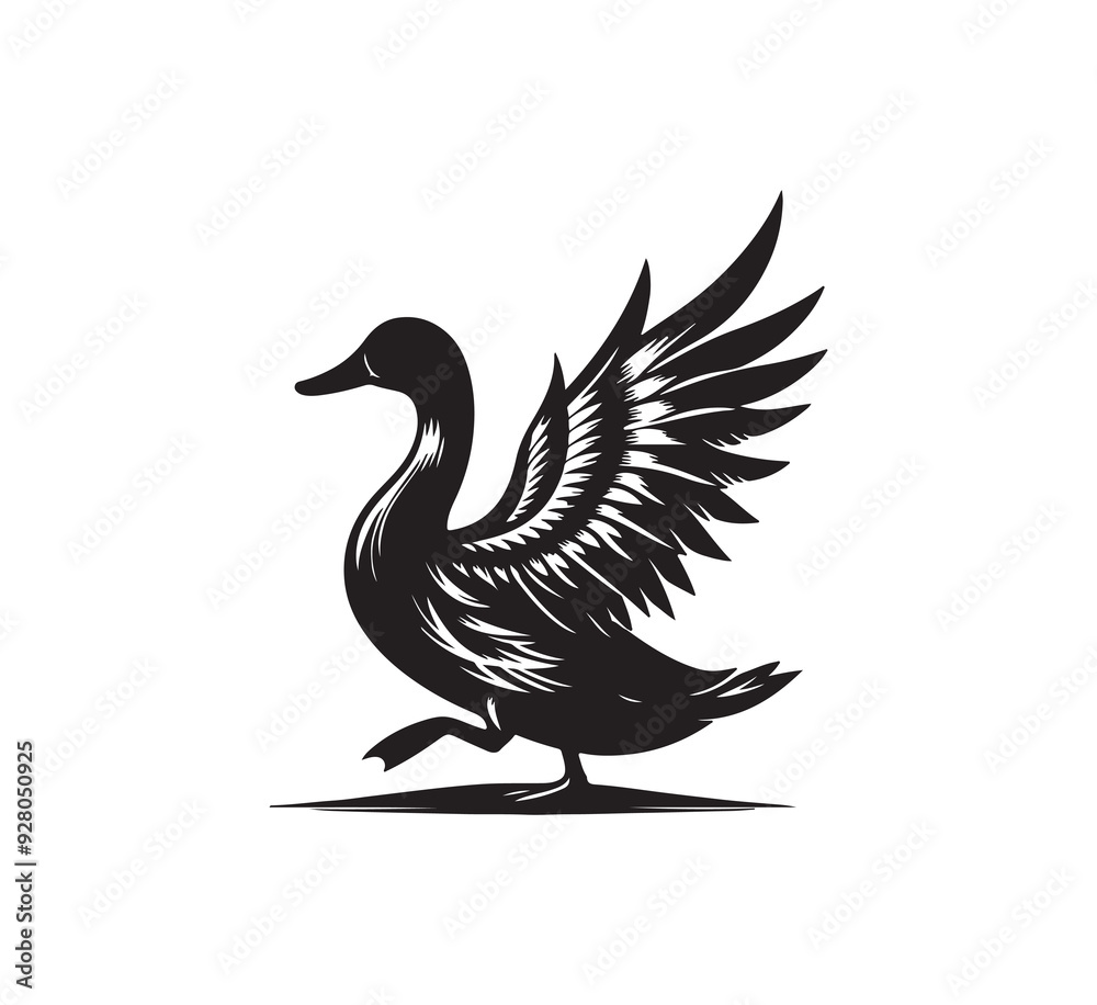 Fototapeta premium silhouette of a bird