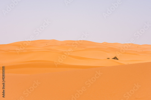 Fototapeta Naklejka Na Ścianę i Meble -  sand dunes in the desert