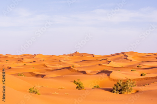 Fototapeta Naklejka Na Ścianę i Meble -  sand dunes in the desert