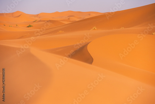 Fototapeta Naklejka Na Ścianę i Meble -  sand dunes in the desert