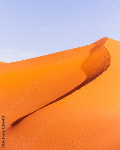 Fototapeta Naklejka Na Ścianę i Meble -  sand dunes in the desert