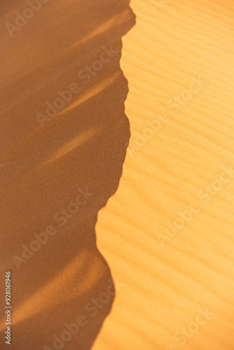 sand dunes in the desert