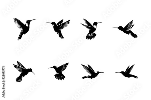 Humming bird silhouette vector illustration set.