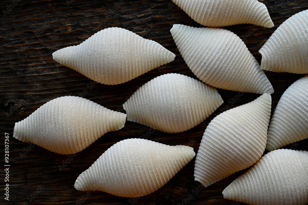 Italian raw conchiglioni on the background of a rustic tree Italian raw conchiglioni on the background of a rustic tree