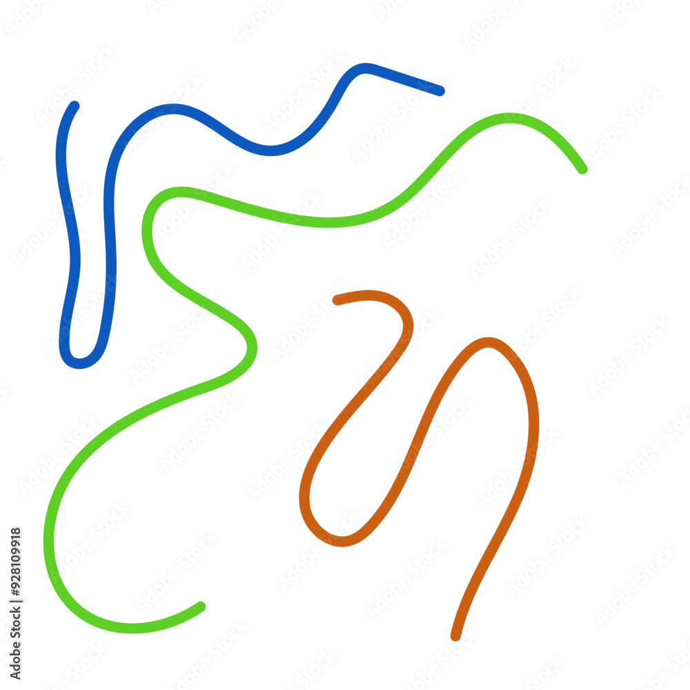 Graphic lines squiggle vectors decoration Graphic lines squiggle vectors decoration