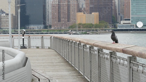 New York City waterfront skyline, Manhattan Midtown buildings, riverfront skyscrapers by East river water. Waterside cityscape view, Gantry Plaza pier, Long Island, Queens. United States architecture. photo