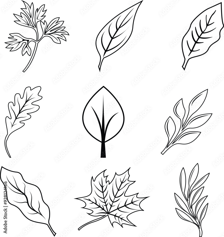 Fototapeta premium Minimalist Foliage or Fresh Leaf Outline Icon Design Collection