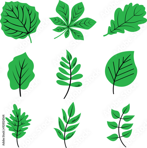 Minimalist Foliage or Fresh Leaf Icon Design Collection
