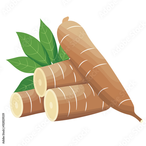 Manihot Esculenta or Cassava Root with Leaves Illustration