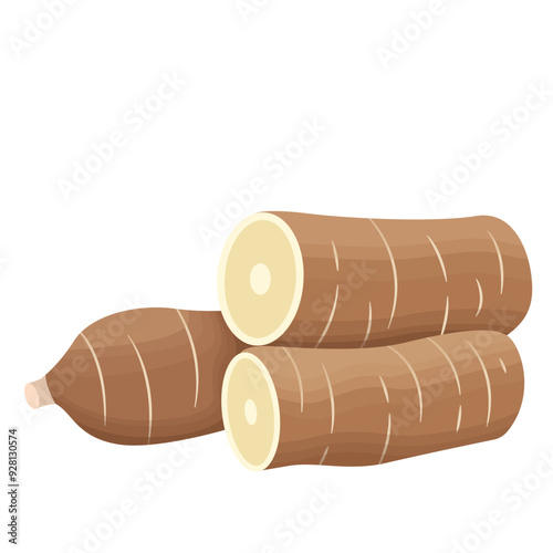 Manihot Esculenta or Cassava Root Illustration