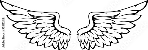 wings vector, angle, black and white, hawk, eagle, bird, feather wings, feather details with black lines, isolated background, Illustration silhouette art of angel demon wings set for t-shirt element