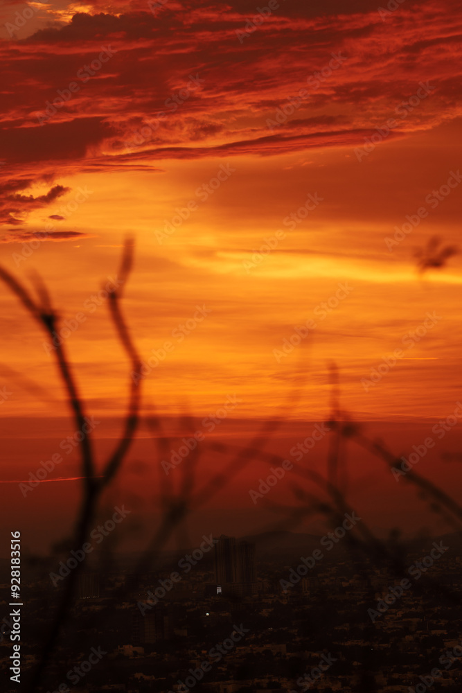 Fototapeta premium atardecer en el cerro