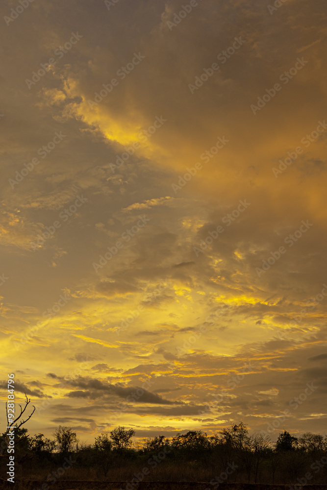 Fototapeta premium atardecer