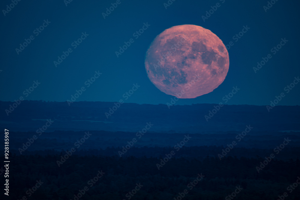 A large, glowing full moon rises above a dark, misty forest, casting a serene light over the landscape. The sky is a deep blue, creating a striking contrast with the moon's pinkish hue. A large, glowing full moon rises above a dark, misty forest, casting a serene light over the landscape. The sky is a deep blue, creating a striking contrast with the moon's pinkish hue.