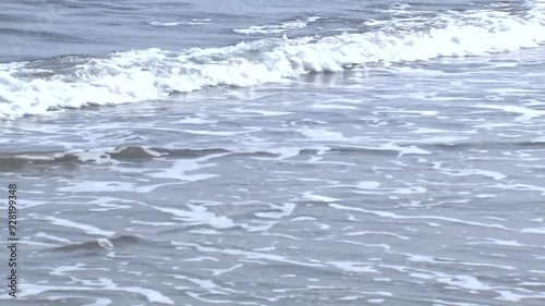  海岸の波打ち際の様子