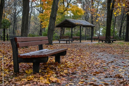 Colorful autumn fall foliage at the park