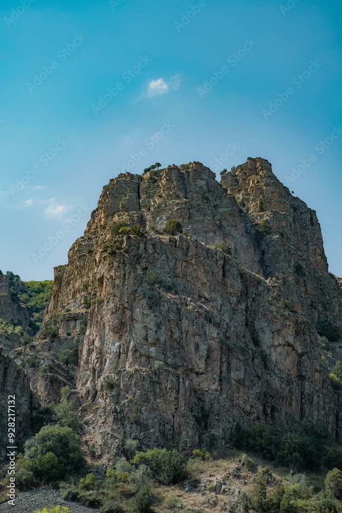 Naklejka premium landscape with sky