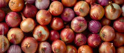 View of a bunch pile of fresh Onion vegetables with neatly stacked leaves arranged from above on a wide flat textured background