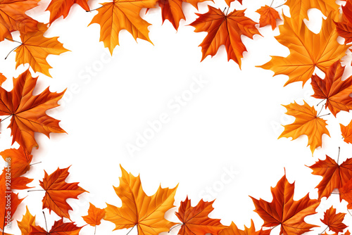 A Golden Frame of Autumn Leaves on a White Background on a White or Clear Surface PNG Transparent Background.