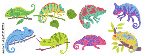 Charming vector collection illustration of a chameleon with neon patterns on its body