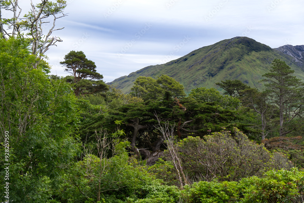 Ireland - Kylemore Abbey Grounds