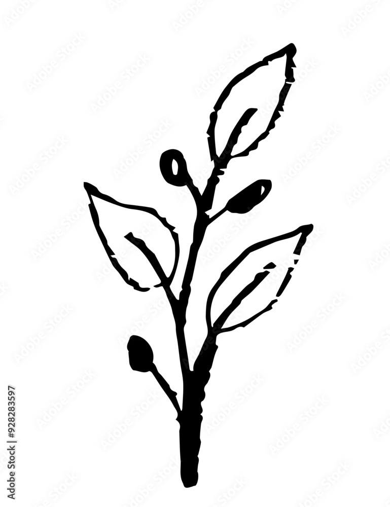 Simple vector charcoal pencil drawing. Branch with leaves and berries. Nature and vegetation. Simple vector charcoal pencil drawing. Branch with leaves and berries. Nature and vegetation.