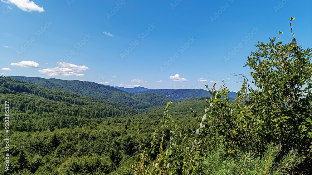 Landscapes - Forest - Europe, Romania Landscapes - Forest - Europe, Romania