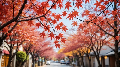Close-Up of Momiji Branch with Japan Street Bokeh Background