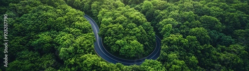 A winding road through a forest with trees on both sides