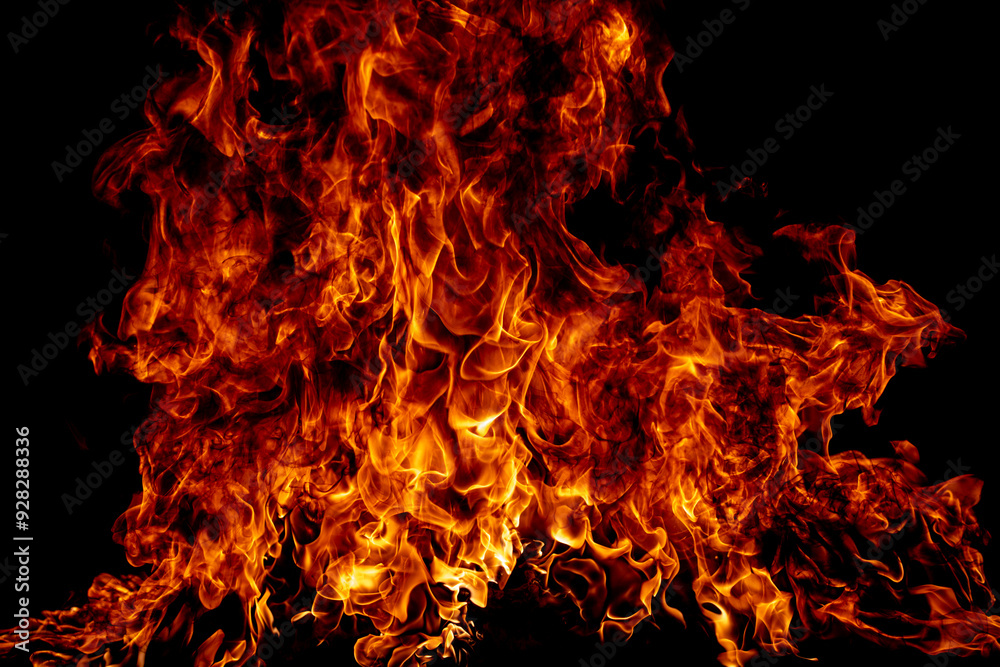 The fire, burning flame. Large burning flaming fire. The fire, burning flame. Large burning flaming fire.