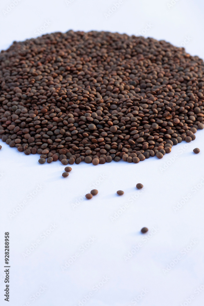 Various organic unpolished pulses like red, black, yellow, green, brown lentils Various organic unpolished pulses like red, black, yellow, green, brown lentils