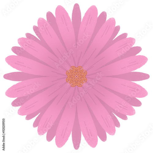 pink Flower (Daisy-like)