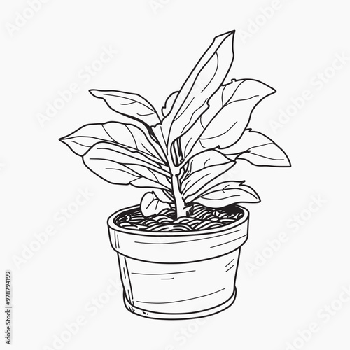 Hand-drawn potted plant illustration