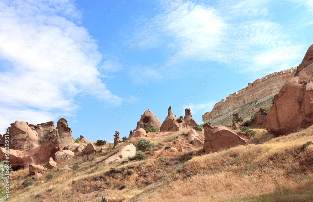 Fototapeta premium Beautiful landscape with famous Fairy Chimney or Multihead stone mushrooms in Pasabag Valley, Cappadocia, Anatolia, Turkey