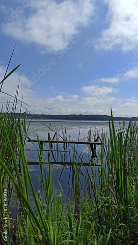 Fishing on the shore of a lake overgrown with reeds