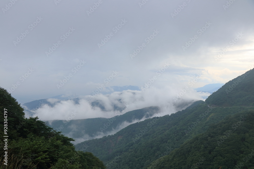 雨にけぶる山々 雨にけぶる山々