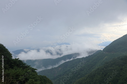 雨にけぶる山々