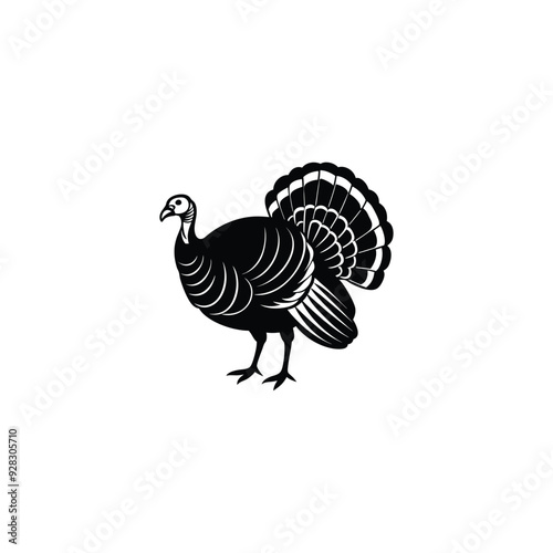 turkey isolated on white background