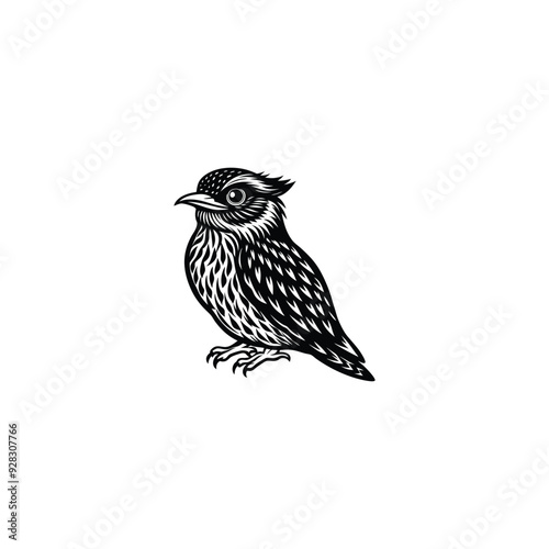 tawny-frogmouth bird  silhouette vector photo