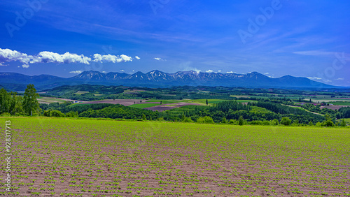 北海道・旭川市 初夏の丘と十勝岳連峰の風景