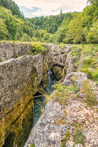 les pertes de la valserine, rivière sauvage, France photo