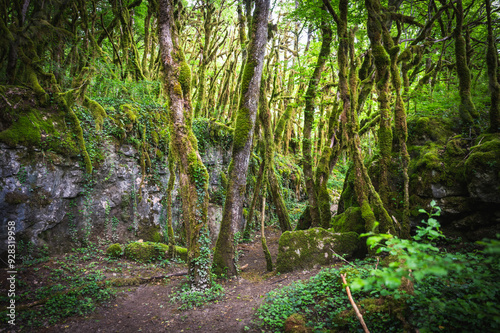 Ruine d'un vieux moulin au bord de la Valserine, Rivière sauvage photo