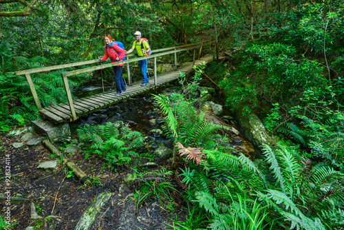 Hikers walking on wooden bridge over stream in forest of Eastern Cape, South Africa
